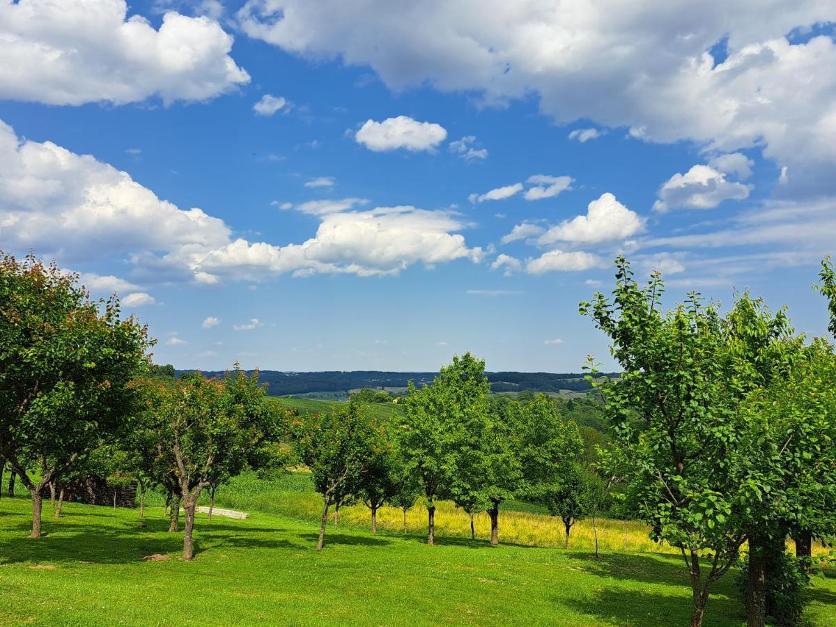 Appartement Schober Kukmirn Zewnętrze zdjęcie