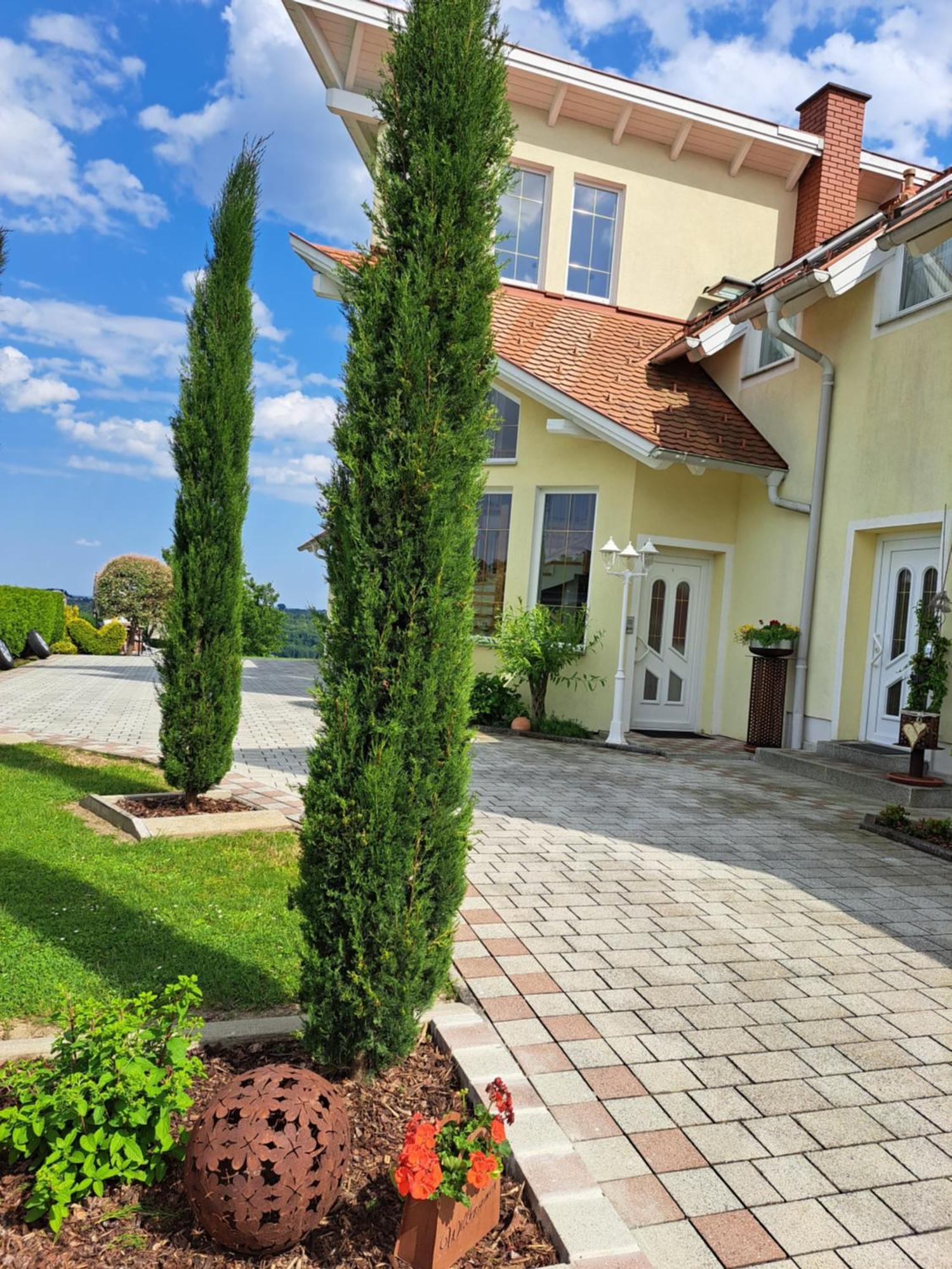 Appartement Schober Kukmirn Zewnętrze zdjęcie
